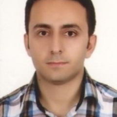 Hamoon Fathi's profile picture