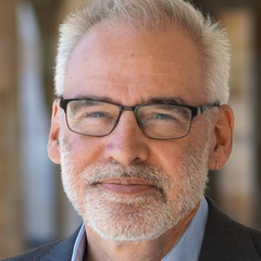 Roland Bleiker's profile picture