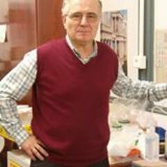 Jesús  Rincon's profile picture