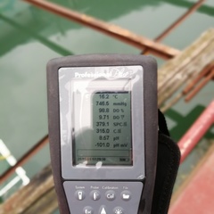 Amechi Nwankwegu's profile picture