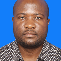 Elgidius Ichumbaki's profile picture