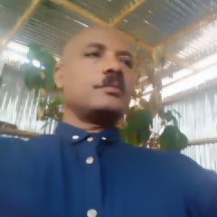 Gezae  Weldemichael's profile picture