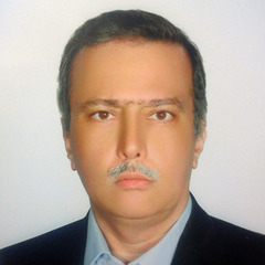 Shahrokh Izadi's profile picture