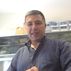 Massimo Caruso's profile picture