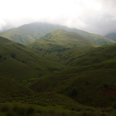 Griet Cuyckens's profile picture