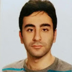 Farjam Goudarzi's profile picture