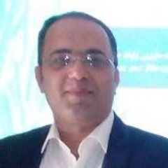 Mehdi Soltani Howyzeh's profile picture