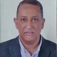 Ahmed ElKady's profile picture