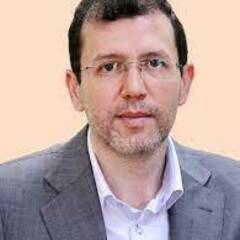 Hassan Ahmadi Gavlighi's profile picture