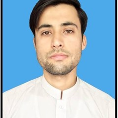 ATTA  ULLAH's profile picture