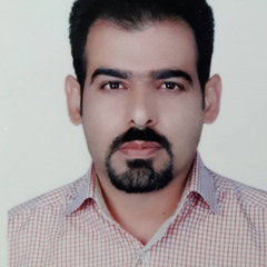 Mehdi Bahrami's profile picture