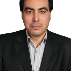 Ramin Yousefi's profile picture