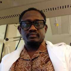Lukman Alimi's profile picture