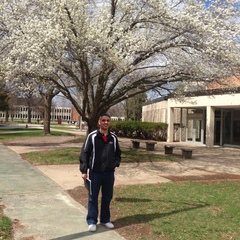 Ammar Altemimi's profile picture