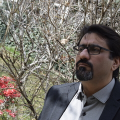 kourosh semnani's profile picture