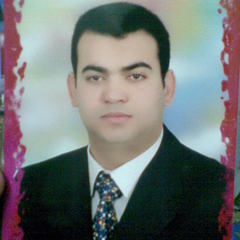 Mohammad Gouda's profile picture