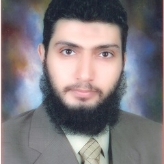 Ayman Abdel-Aziz Swelum's profile picture