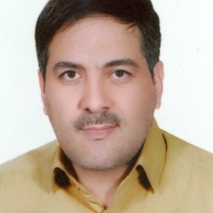 Hossein Pirnajmuddin's profile picture