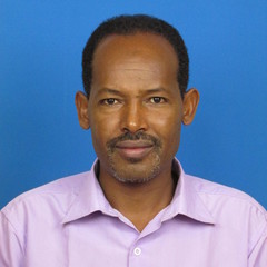 Tsega Mengesha's profile picture