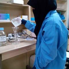 Fatima Hashmi's profile picture