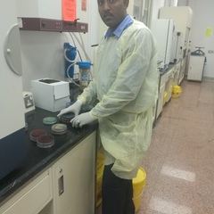 Nadir Ibrahim's profile picture