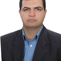 Reza Kafipour's profile picture