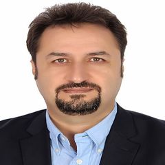 Mohammad Zarei's profile picture