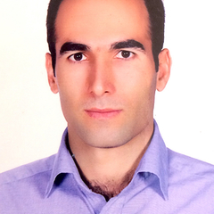 Omid Karimi's profile picture