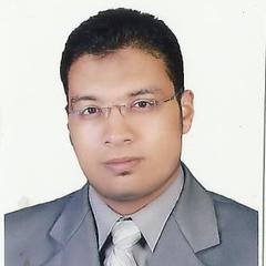 Mohamed Rizk's profile picture