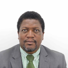 Takafira Mduluza's profile picture