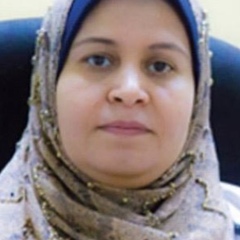 Eman Shebl's profile picture