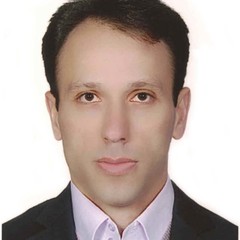 Habib Dastmalchi Saei's profile picture