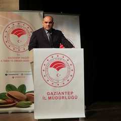 Osman Kola's profile picture