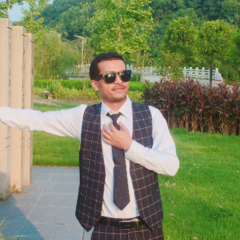 Amsalu K. Addis's profile picture