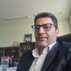 Ali Ahmadi's profile picture