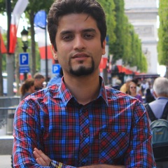 Seyedali Mirjalili's profile picture