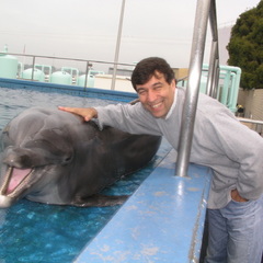 Antonio Fernandez's profile picture