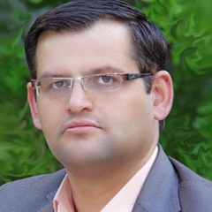 Soleiman Rasouli's profile picture