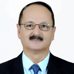 Salam Ewaid's profile picture