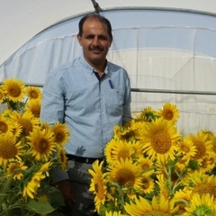 Mehdi Ghaffari's profile picture