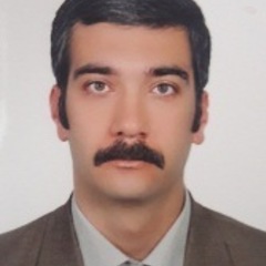 Hêriş Golpîra's profile picture