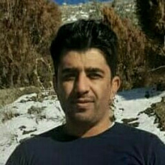 Moslem Bahmani's profile picture