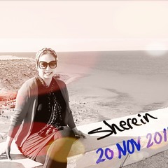 Sherein Abdelgayed's profile picture