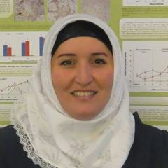 Maead Mohammad's profile picture
