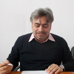 Marian Zulean's profile picture