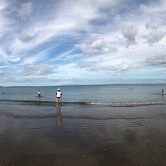 Simon  Lambert's profile picture