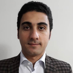 Behzad Maleki Vishkaei's profile picture
