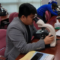 Singgih Putra's profile picture