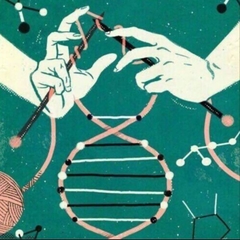 Dr. Randa  M.A. Farag's profile picture