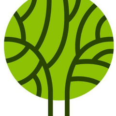 F Febiyanto's profile picture